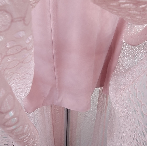 Free People Utopia Maxi Dress 6 Lace Ovelaid Fairycore Lined Pink Coquette - Picture 6 of 16